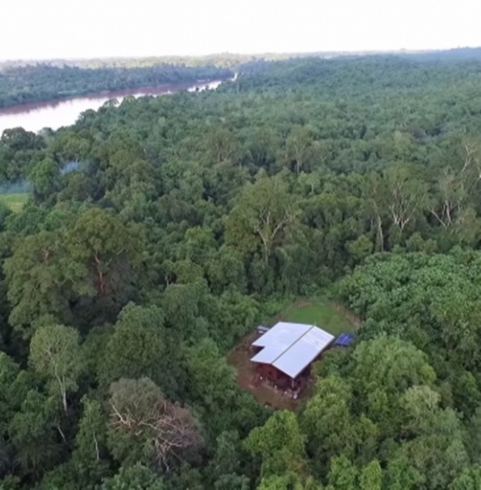 Desain Nyentrik Ini Potret Rumah Andrew Kalaweit Di Tengah Hutan